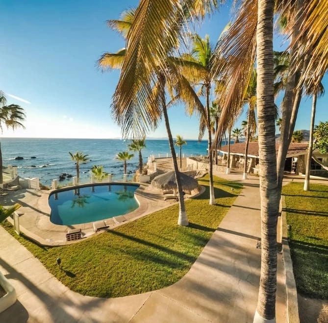 a pool and palm trees by the ocean